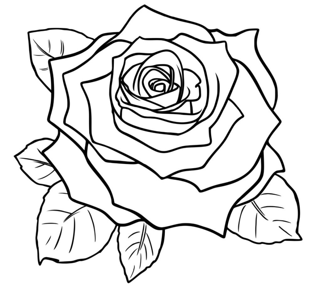 Big rose coloring page, happiness for all family