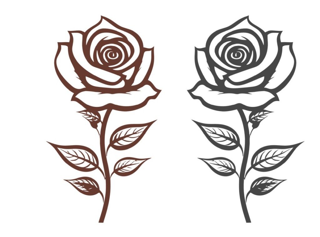 Brown roses for coloring and relax