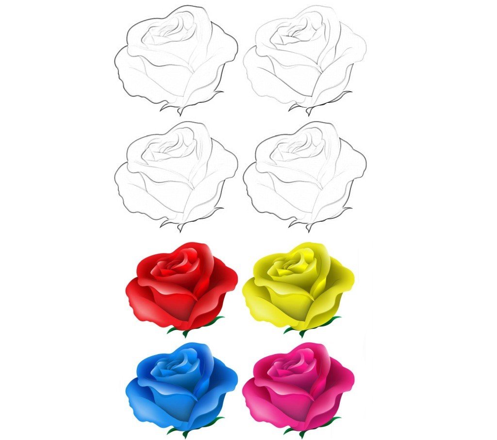 Colored roses, blue, pink, red, yellow