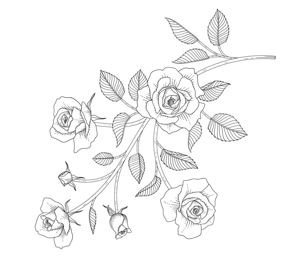 Rose sprig for coloring for good time