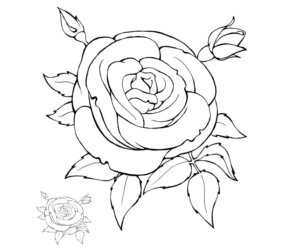 White rose coloring - choose your color