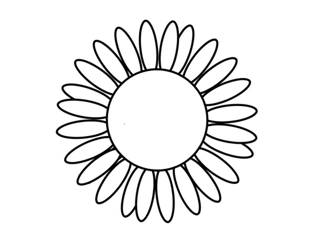 Sunflower sun picture