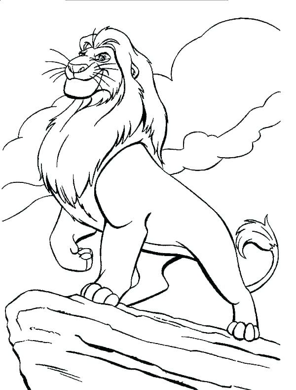 liūtas karalius
