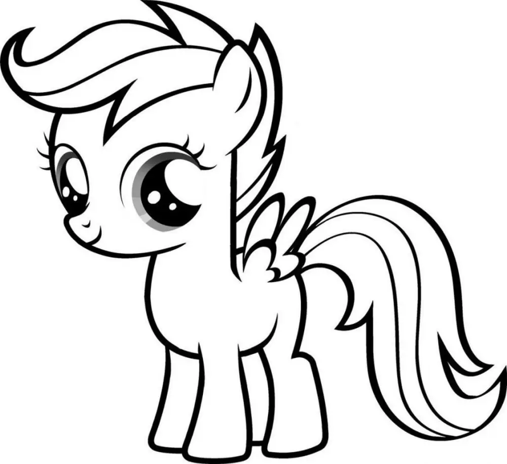 ponis ponny