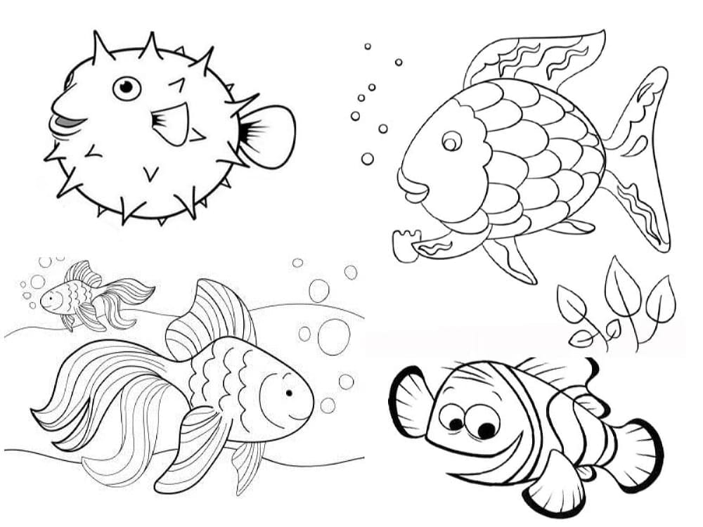 Dessiner 4 poissons