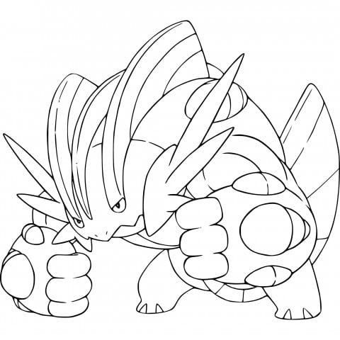 Swampert spalvinimas