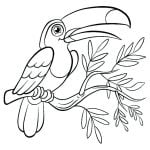 les oiseaux sont coloriages