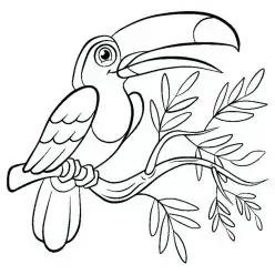 鳥は着色されています