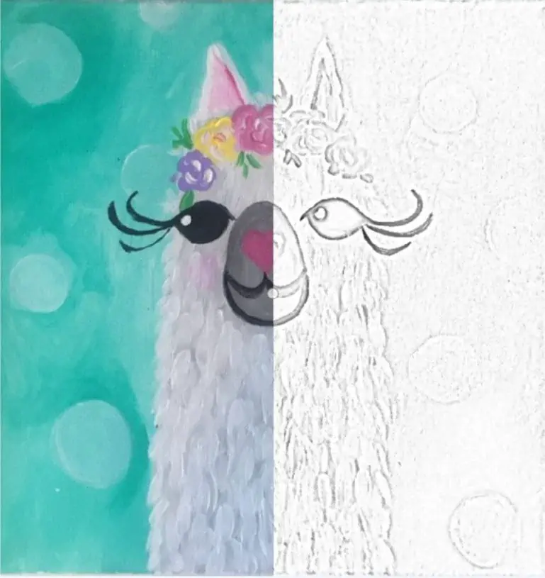 Kolori ang alpaca
