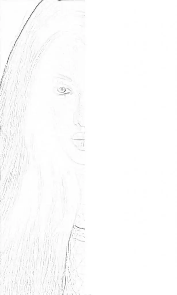 face drawing