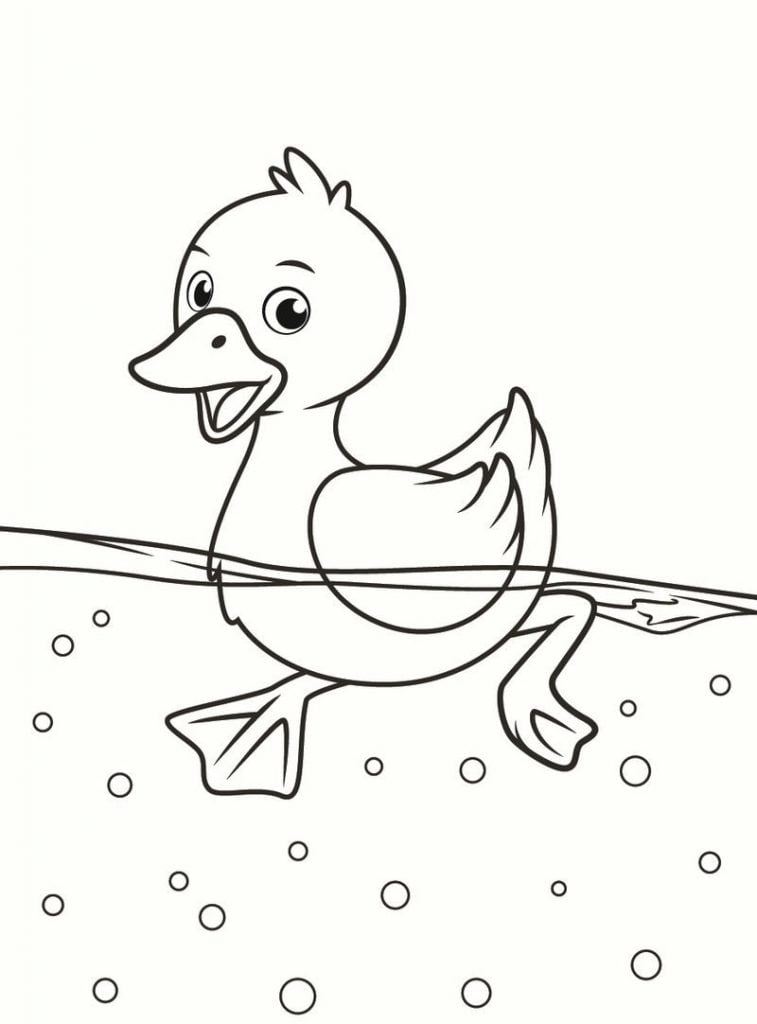 Canard coloriage