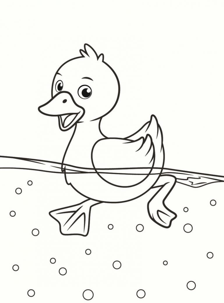 Paukščiai spalvinimui 🦜 PEPE.LT