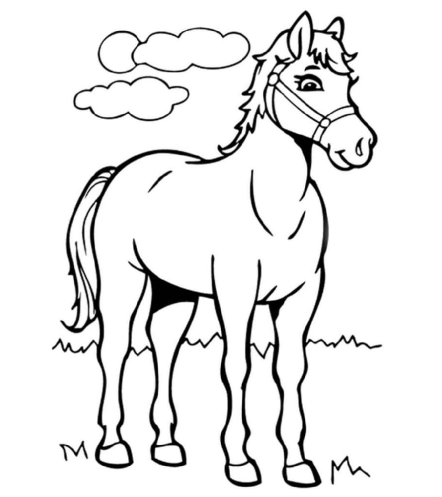 Cheval coloriage.