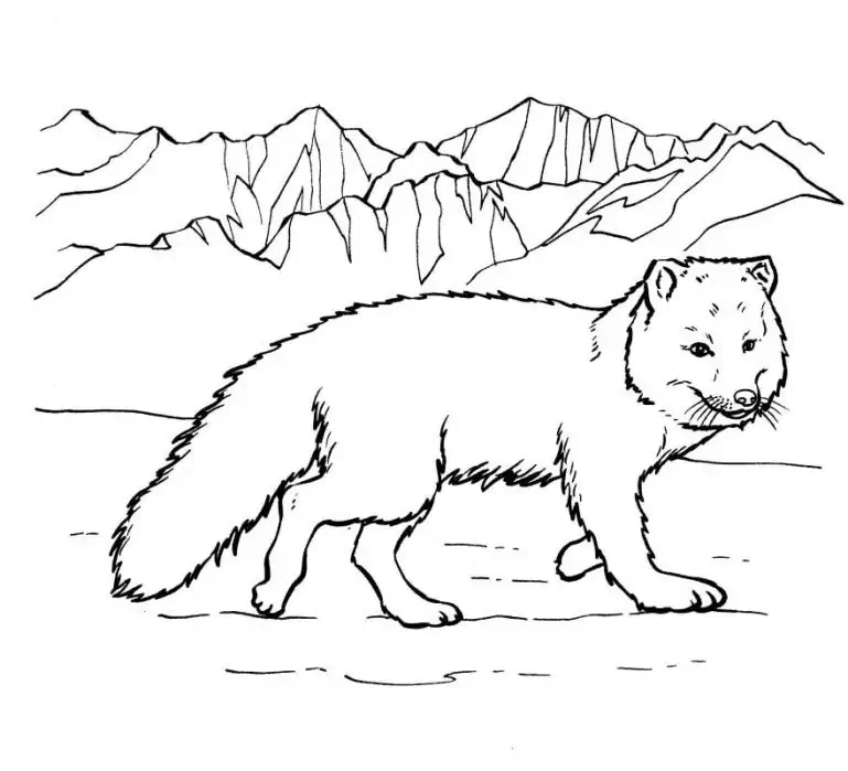 Fox målarbilder