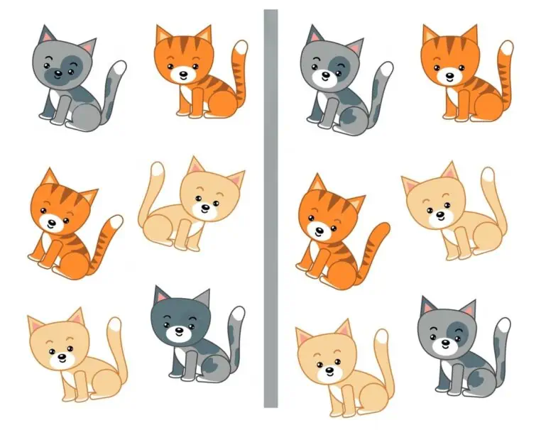 고양이. 10개의 차이점을 찾으십시오.