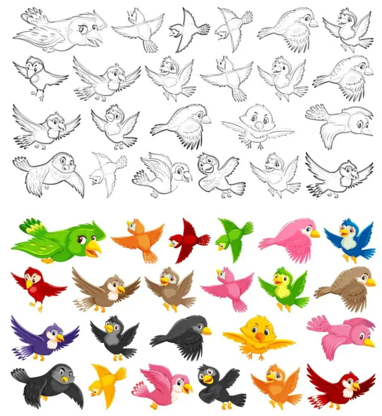 23 Vögel Malbuch.
