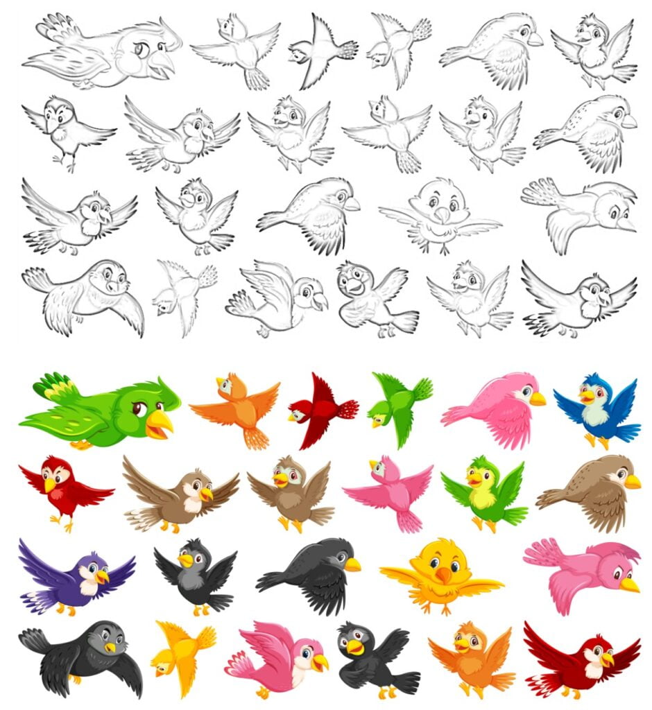 Libro para colorear de 23 pájaros.