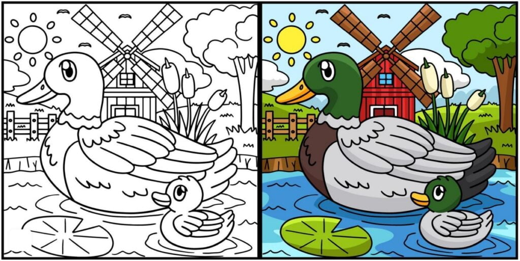 Dibujos de patos para colorear