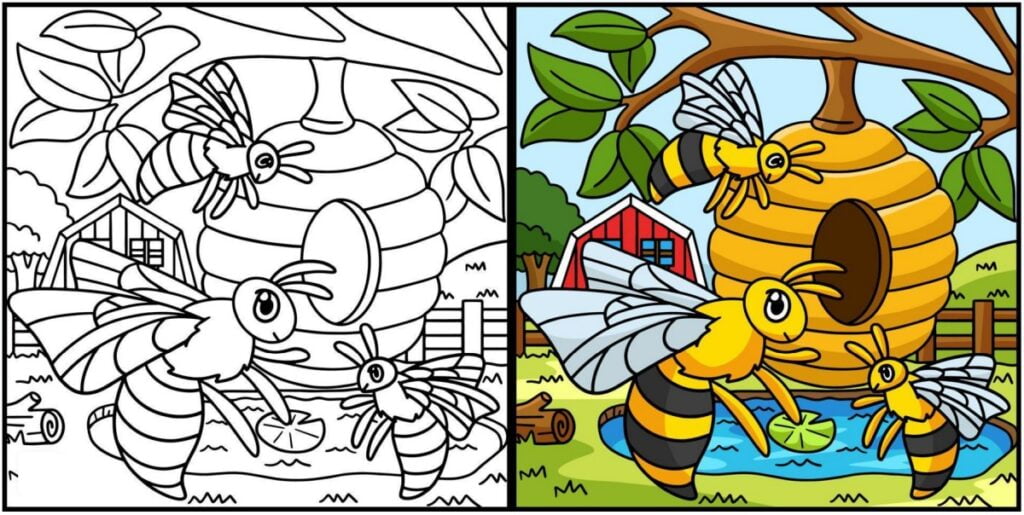 Libro para colorear abeja