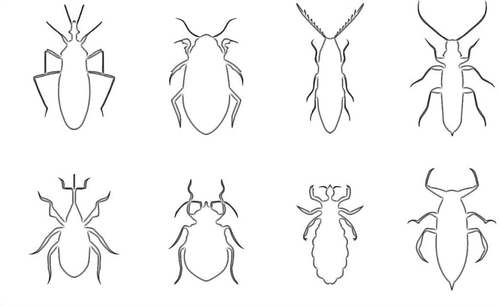 Siluetas de cucarachas para colorear.