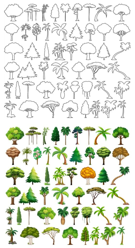 Menggambar pohon untuk mewarnai