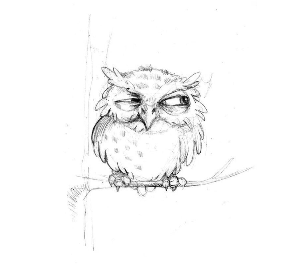 dessins au crayon coloriages - hibou