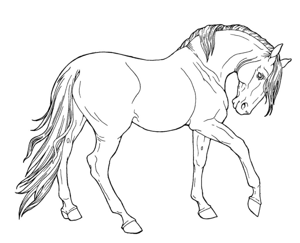 Hobune värvimiseks