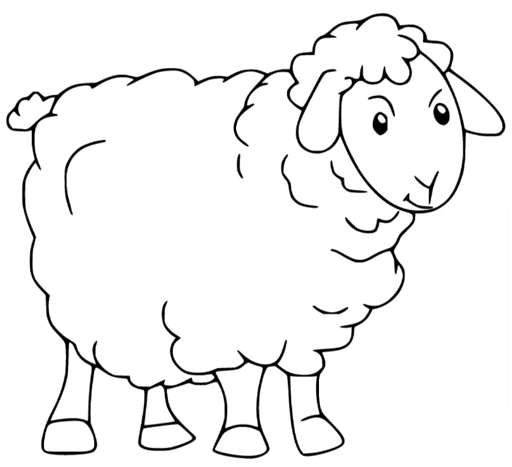 Dessin de moutons coloriage.