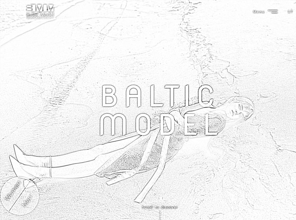 Pagkukulay ng website ng Baltic Model