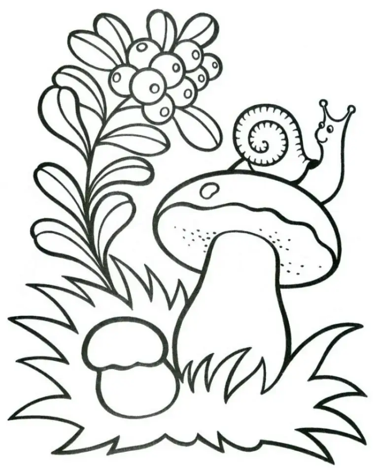 Steinpilze und Schnecke sind gefärbt