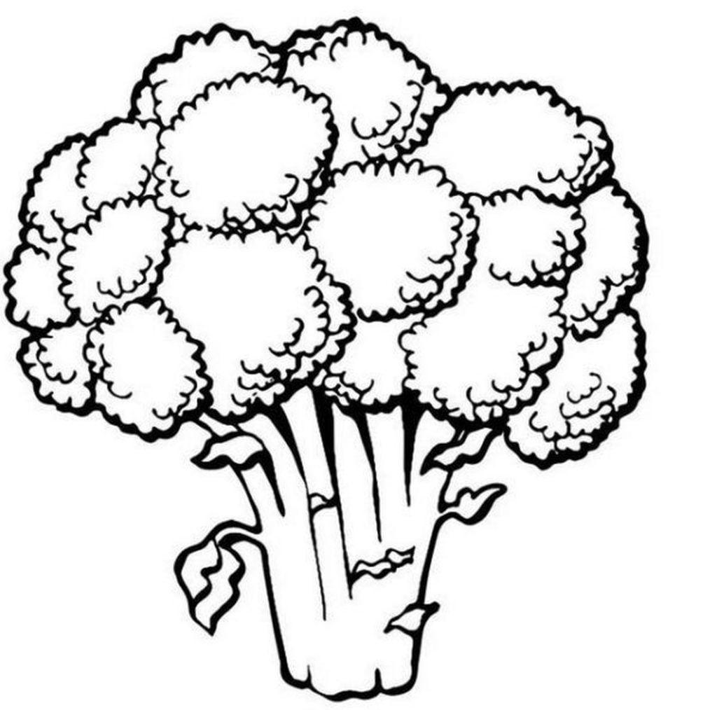 Plantaardige broccoli kleurplaten