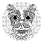 mandalas de animales