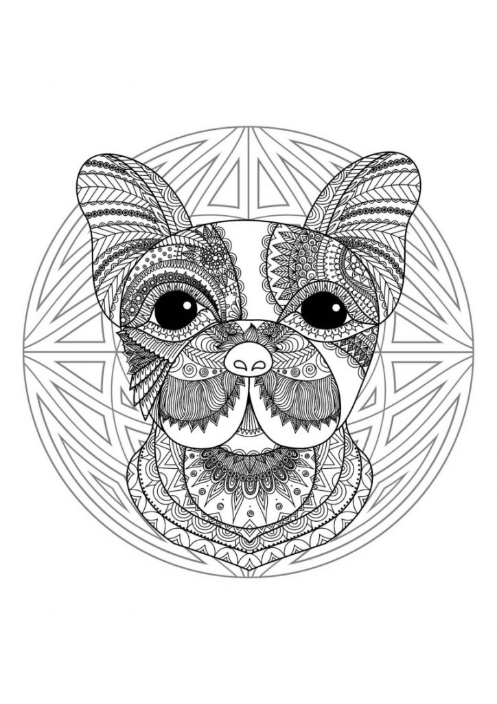 Mandala animali da colorare 🦨 