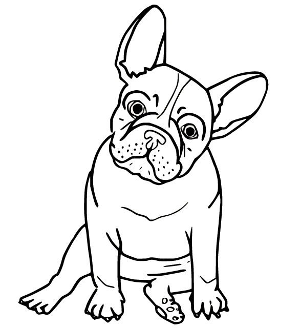 French bulldog sa pagkukulay