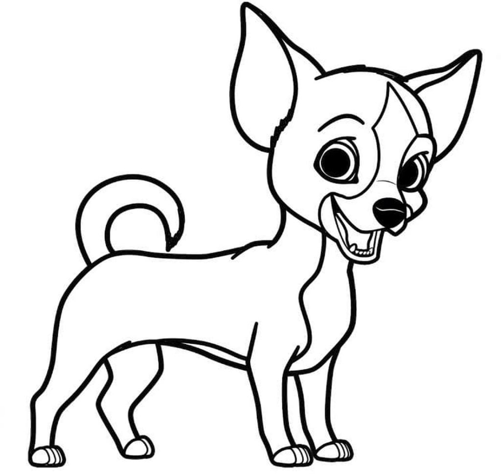 Chihuahua coloriage