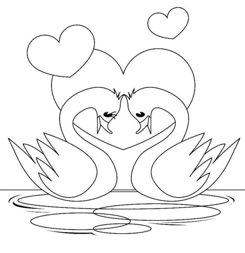 Love swans