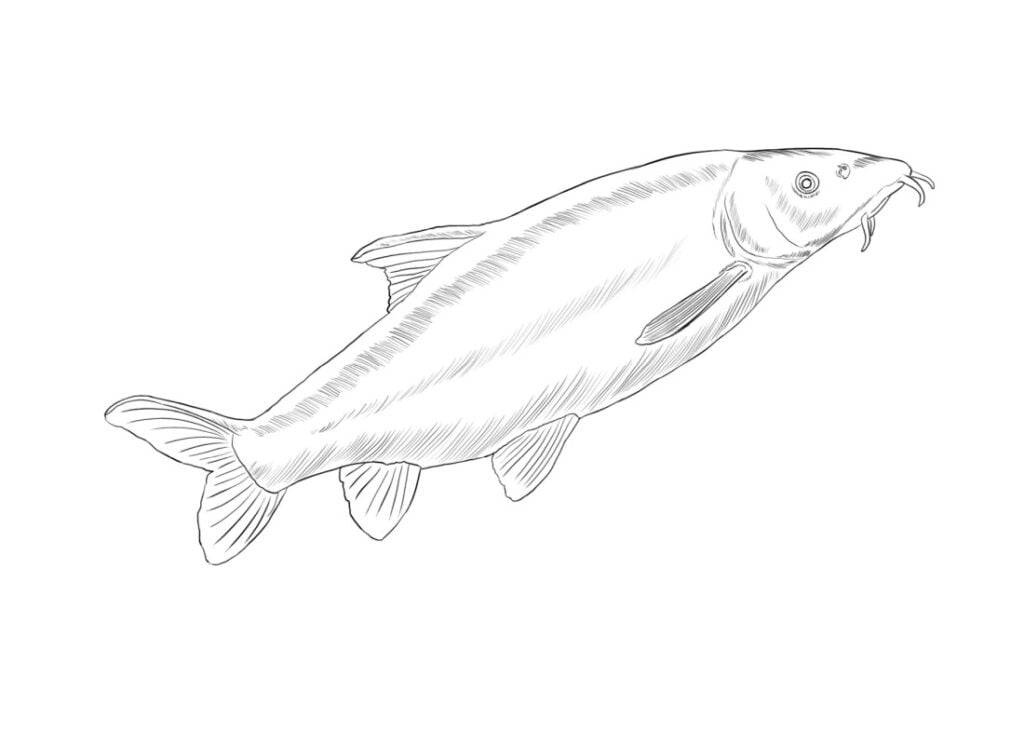 Ūsorius spalvinimui