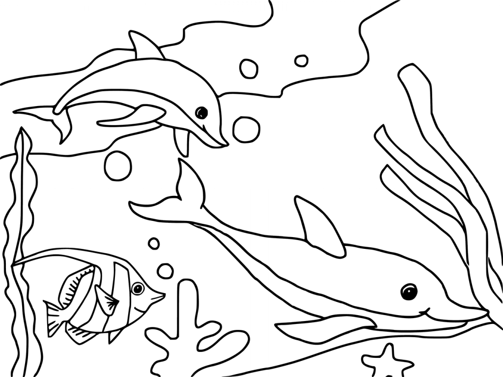 Les dauphins sont coloriages