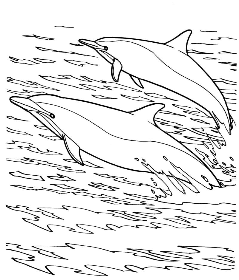 ballena para colorear