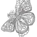 Mandala di Grugel
