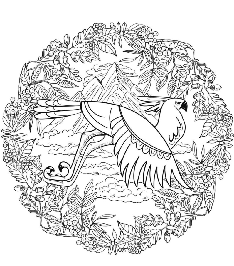 orlia mandala na vyfarbenie