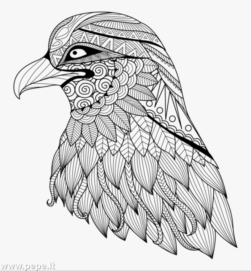 águila mandala