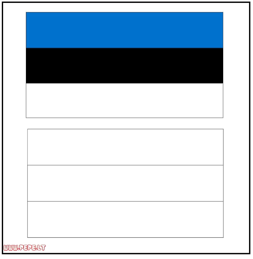 Kuchora bendera ya Estonia, Estonia