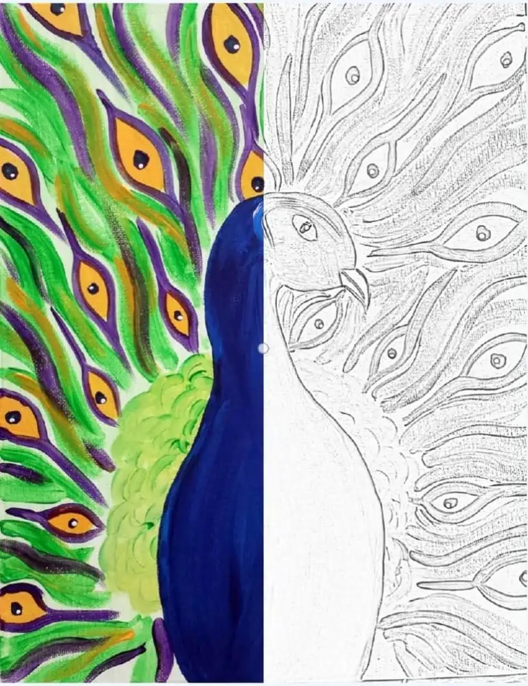 Kolori ang pheasant