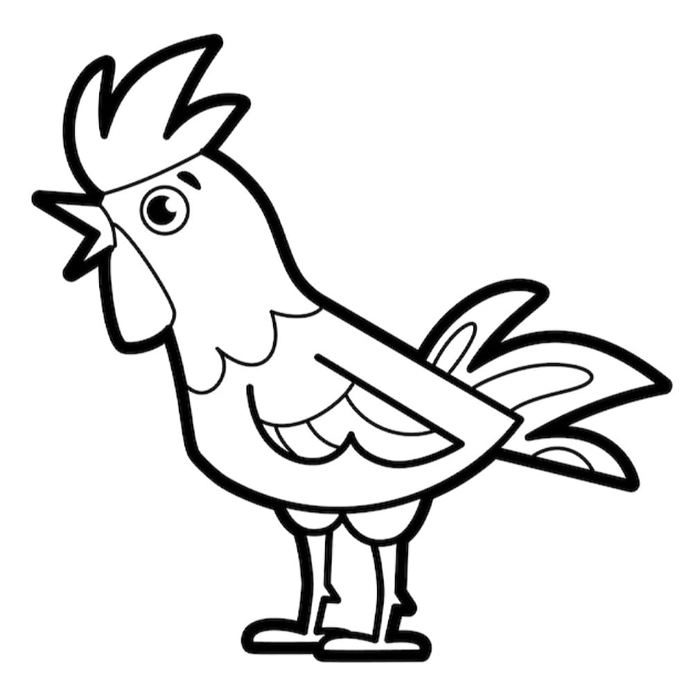 Dibujo de gallo para colorear.