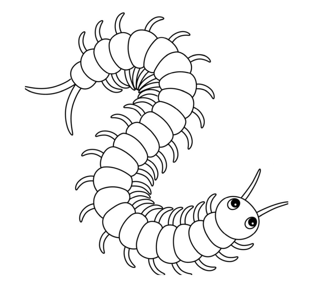 Mdudu - centipede kwa kuchorea