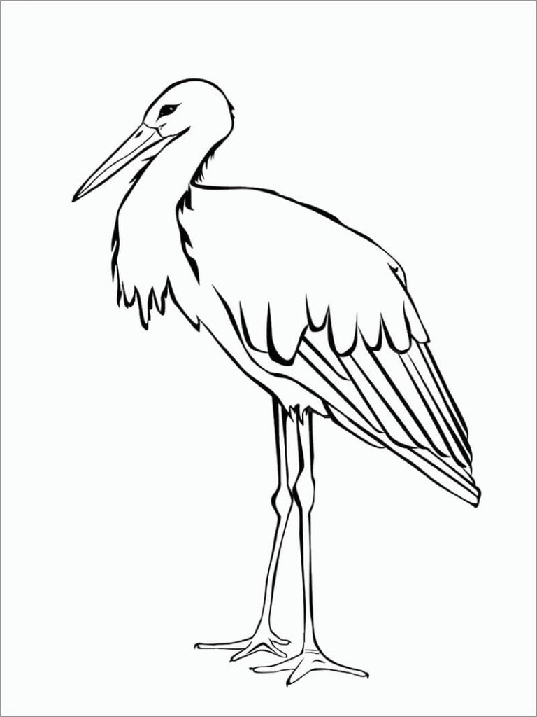 Stork kwa kuchorea