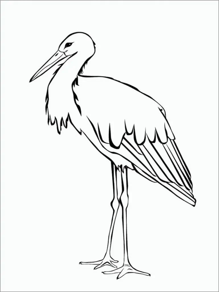 Stork til farvelægning