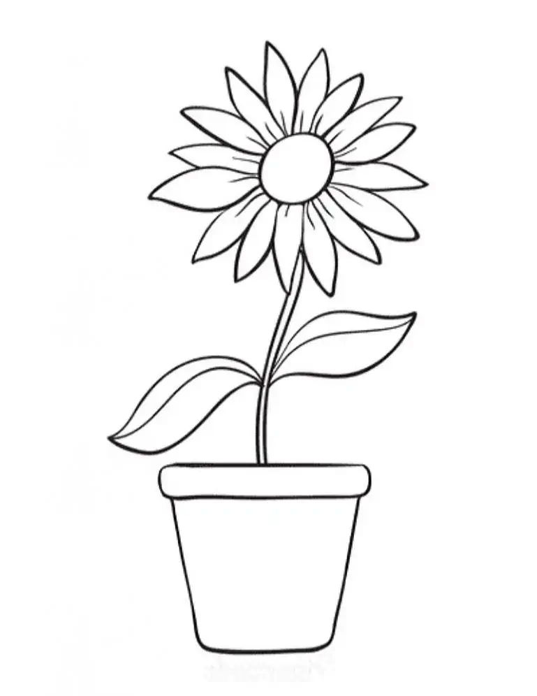 farve blomsten i potten