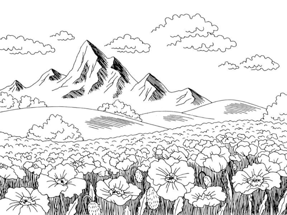 Gėlės ir kalnai piešinėlis spalvinimui.